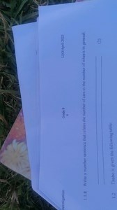 vestigationGrade 84LEO/April 20251.1.8 Write a number sente... | Filo