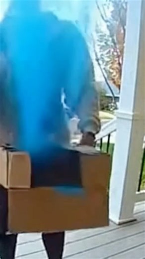 PORCH PIRATE BAIT INSANE KARMA 💥🤯📦