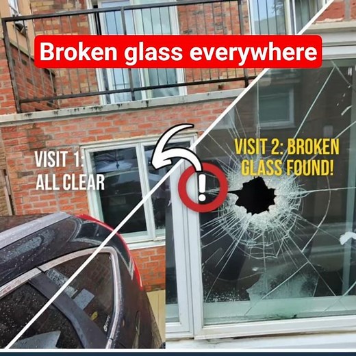 CRITICAL CHANGE DETECTED: New Damage Found on Bronx Property Return Visit | 3PI Services #damage