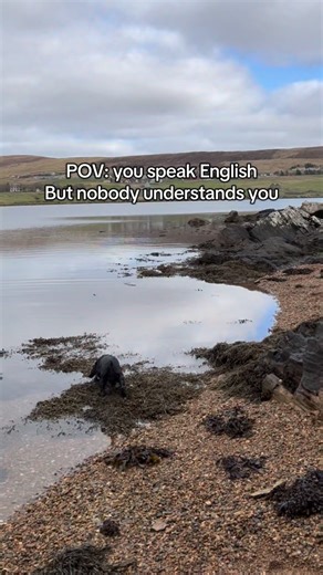 After work I love to get to the beach, so here I am with my dog Cora… Shetland is Beautiful 💙 I have a Shetland Dialect game for you (it has been a while since my last one!!) Can you guess what Shetland dialect song/rhyme this is? Have a great weekend everyone! #islandlife #language #culture #home #northsea | Island Larder Ltd
