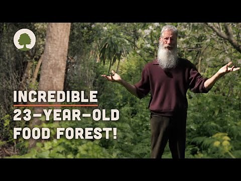 Couple Transform Land into an Amazing Permaculture Food Forest