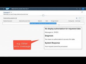SAP FIORI Authorization Error (APP Support)