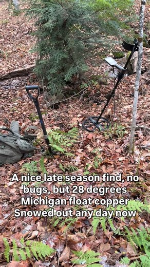 I had a nice late season day detecting for Michigan float copper using my Minelab Equinox metal detector and my @ckg_metaldetecting shovel. I’ve used a lot of round point shovels over the past 15 years and this is by far the best one. Strong and extremely light. No bugs, no ticks, but 28 degrees. Old Man Winter will shut us down soon. #metaldetecting #upperpeninsula #puremichigan #minelabdetecting #copper #rockhound | Traprock Copper