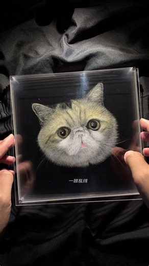 I Drew a Cat with Scratches! Customized Scratch 3D Pet Painting | Trending Art Shorts 2025 #shorts
