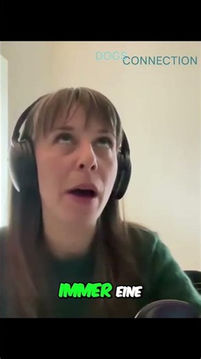 Hundeaggression: Komplexe Ursachen verstehen und lösen #shorts