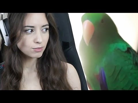 Tourettes VS A Parrot | Sweet Anita Highlights