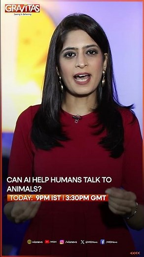 Can AI Help Humans Talk to Animals? | GRAVITAS