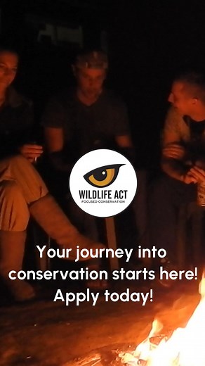 Give Back While You Travel! Protect Africa’s most endangered wildlife, track Rhino, Wild Dogs, Cheetah and more alongside expert teams in real conservation. | Wildlife ACT - Focused Conservation