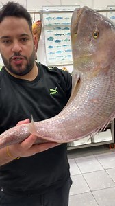 مارينا للأسماك والرخويات on Reels