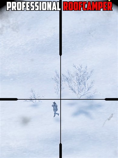 Exploring the Roofcamper Experience in Rust