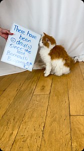 56K views · 1.9K reactions | Beaker has entered the chat | Bunsen Berner | Facebook