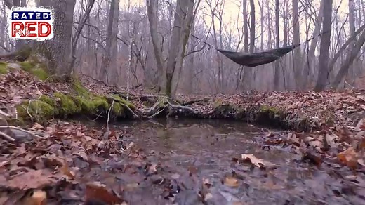 How to Set Up a Hammock in the Woods
