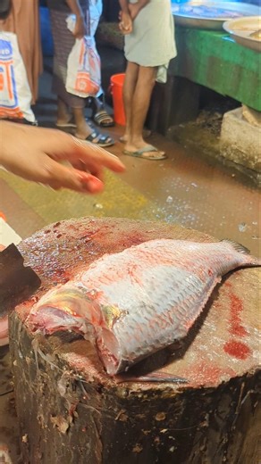 Catla Carp Fish Cutting - Clean & Sharp Fillet Process" #shorts
