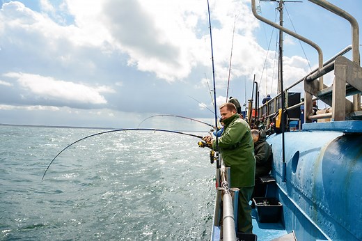 Hochseeangeln Nordsee und Ostsee: Alle Angelkutter und Tipps im Überblick - BLINKER