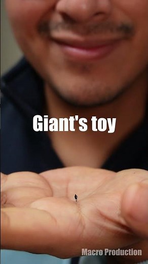 Giant's toy (preview)