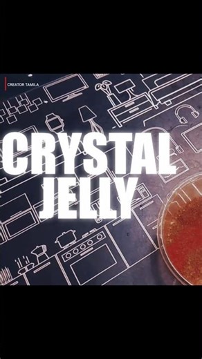 Crystal Jelly 🪼 #shorts #experiment