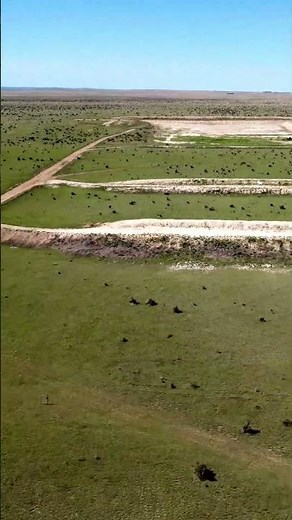 2 Mile Target Camera - LR-3 - Longshot Cameras