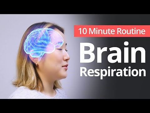 Brain Respiration | 10 Minute Daily Routines