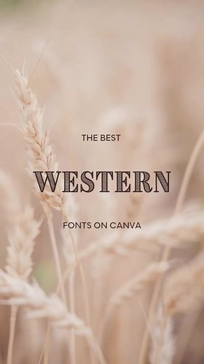 Boot scootin boogie kinda Friday! 🤠 #fonts #Canva #western #country #westernfonts #socialmedia #marketing #digitalmarketing #Canvafonts #socialmediacontent #contentcreation #design