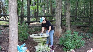 Once again we are back in the woodland garden, and we are planting a full-shade perennial container in a Savannah Urn from Unique Stone. This container will give us years of gorgeous color and texture in the shade garden, and while we are in this space I am giving you an updated garden tour. 🪴 Companies We Partner With 🪴 Power Planter Garden Augers & Drills http://bit.ly/3ZZ98GY Hoselink https://bit.ly/42nf9i5. Promo Code CREEKSIDE for $10 off your purchase Proven Winners https://www.provenwin