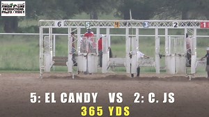 🏇PERRETT TRAINING CENTER🏇 (6-23-24) 🥇 EL CANDY CUADRA LIRA 🥇 🏆 LE GANAN A ......... 🏆 (EN 365 YDS) 🥈 UN TAPADO CUADRA JS 🥈 (Música sin derechos de Autor) | Finish Line Productions