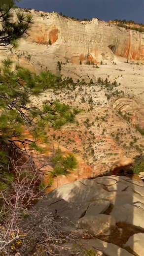 Final Views From Top Of Angels Landing Before We Head Back Down #shorts