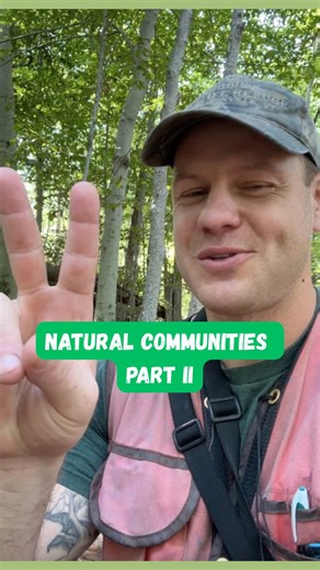 509 reactions · 35 shares | What’s a natural community? Part 2 of 3. #forest #forests #nature #natural #community #ecology #ecosystem #environment #woods #wildlife #forester #stem #life #love | Ethan Tapper | Facebook