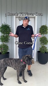 3 Dog Breeds I Would Not Own (Part 2) While we love ALL breeds and enjoy being able to train with such a large variety of different dogs, each breed has it’s own characteristics and the most important thing is to pick a dog that is the RIGHT fit for your specific family. 1. German Shorthair Pointer - Bred to hunt, these dogs have a never ending supply of energy! While we love playing outside with our kids and dogs, our kids are getting to an edge where evenings are filled with after school activ