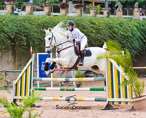 Acompanhe como foi a etapa final, onde Ingrid Wirtz Botupharma TEAM 🏇 conquista o 2º Lugar no Campeonato de Hipismo Abhir Cat. nivel II ao cronometro com Kimacho. #campeão #BotupharmaTEAM #marathonbotumix #artroplus #abhir #hispismorural | Botupharma