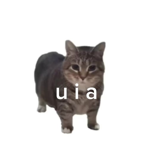 Unboxing Cat Supplies and Quirky Doggy Humor