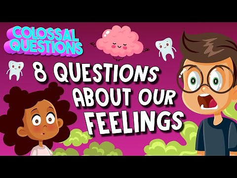 Why Do We Feel? 8 Ways We Experience the World Explained! | COLOSSAL QUESTIONS