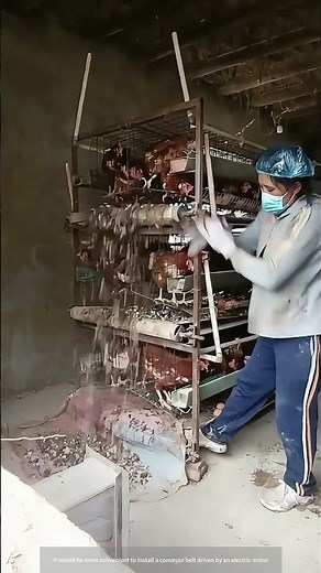 A Simple Method To Clean Chicken Manure In The Small Farm !