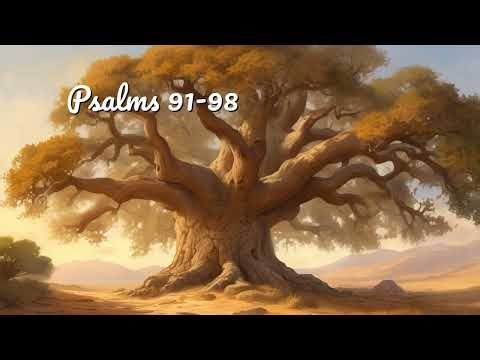 Psalms 91+ | Bible Audio | NLT