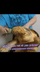 121K views · 624 reactions | C'est comme dans stargate, il faut le code pour ouvrir l'iris | Jeremandtheduck | Facebook