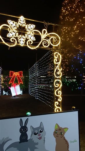 武里駅西口 駅前イルミネーション 2025-2026🎄🎅 #武里 #イルミネーション #クリスマス #TORQUEG06 #Shorts