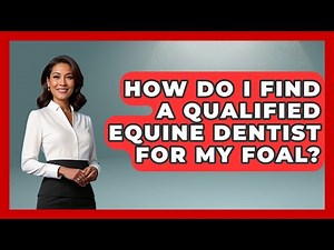 How Do I Find A Qualified Equine Dentist For My Foal? - The Horses Stable