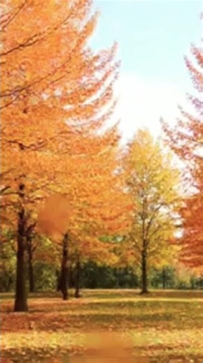 Cozy Autumn Forest 🍁 Gentle Nature Sounds for Relaxation