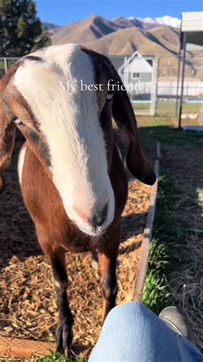 EvilSeaWitch (@evilseawitch21)’s videos with Kitchen Flowers - Them & I