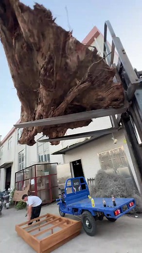 Creative Tree Stump Furniture Ideas for Home Decor