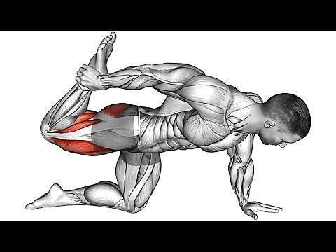 12 Best Exercises For Lower Back Pain