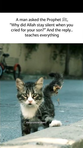 before scrolling check description below 👇🏻