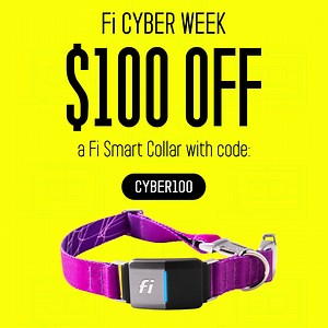 149K views · 30 reactions | Shop Fi's Cyber Week Sale now and get $100 off a Fi Smart Collar with code CYBER100. | Fi | Facebook