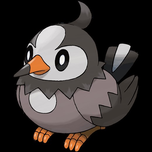 Starly (Pokémon)