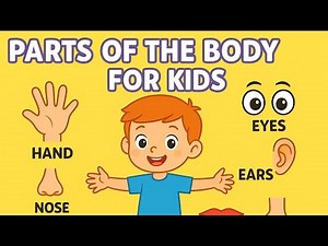 👍📚🌈Parts of the Body for Kids | Learn Body Parts in English | Kids Learning Video🤝