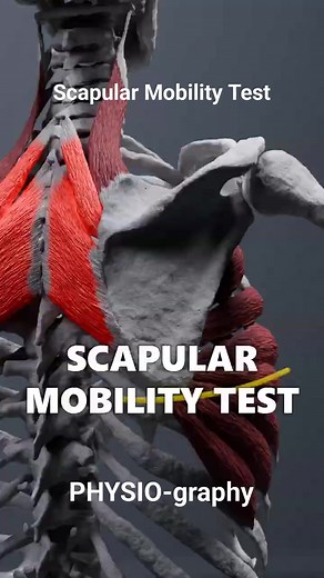 71K views · 894 reactions | Scapular Mobility Test | PHYSIO-graphy | Facebook