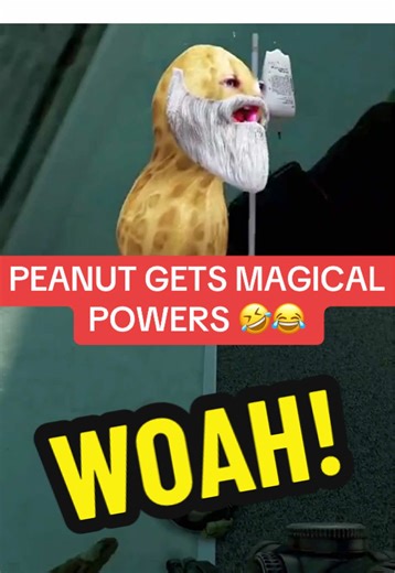 Peanut's Magical Powers Unleashed 🎬