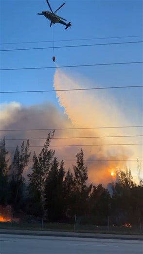 4.6K views · 54 reactions | On Sunday, April 14 at 2:14 p.m., #MDFR...