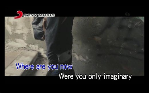 Alan Walker - Faded （伴奏版）