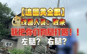 7881全新改版 【追回黄金眼】 找回人员：“敢来 就把你们腿打折！” 左腿？右腿？