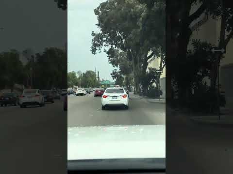 San Ysidro sentri Lane